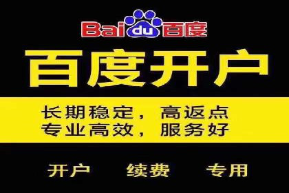 竞价SEM托管服务：成功案例揭秘