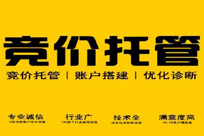 竞价开户推广策略案例分析